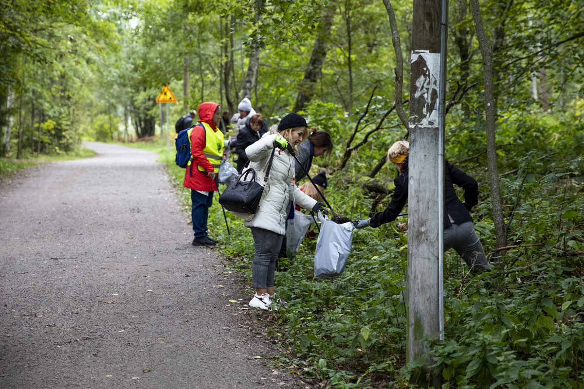 Vapaaehtoisten joukko siivoaa metsäpolun varrelta roskia.