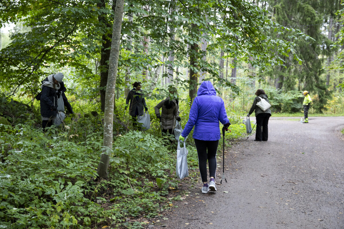 Vapaaehtoisten joukko siivoaa metsäpolun varrelta roskia.